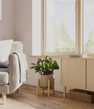 Load image into Gallery viewer, Olive stand:bamboo
