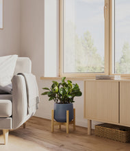 Load image into Gallery viewer, Deep Navy stand:bamboo
