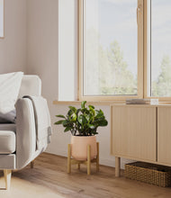 Load image into Gallery viewer, Gentle Pink stand:bamboo
