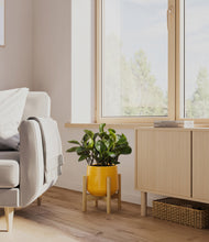 Load image into Gallery viewer, Mustard stand:bamboo
