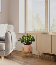 Load image into Gallery viewer, Calm Rose stand:bamboo

