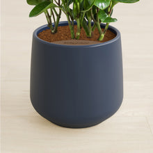 Load image into Gallery viewer, Deep Navy stand:all
