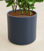 Load image into Gallery viewer, Deep Navy stand:all
