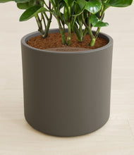Load image into Gallery viewer, Dark Olive stand:all
