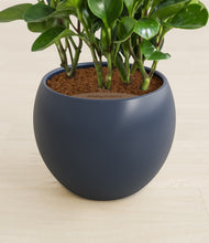 Load image into Gallery viewer, Deep Navy stand:all
