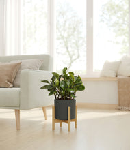 Load image into Gallery viewer, Dark Olive stand:bamboo
