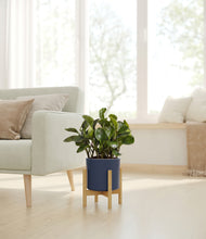 Load image into Gallery viewer, Deep Navy stand:bamboo
