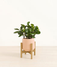 Load image into Gallery viewer, Gentle Pink stand:bamboo
