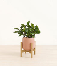 Load image into Gallery viewer, Calm Rose stand:bamboo
