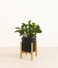 Load image into Gallery viewer, Black stand:bamboo
