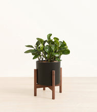Load image into Gallery viewer, Black stand:walnut
