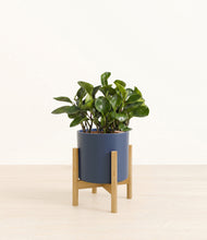 Load image into Gallery viewer, Deep Navy stand:bamboo

