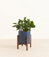 Load image into Gallery viewer, Deep Navy stand:walnut
