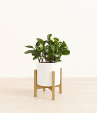 Load image into Gallery viewer, White stand:bamboo
