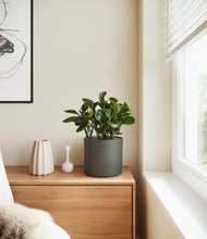 Load image into Gallery viewer, Dark Olive
