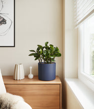 Load image into Gallery viewer, Deep Navy
