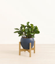 Load image into Gallery viewer, Deep Navy stand:bamboo
