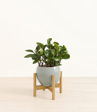 Load image into Gallery viewer, Deep Ocean stand:bamboo
