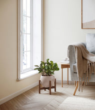 Load image into Gallery viewer, Desert Brown stand:walnut
