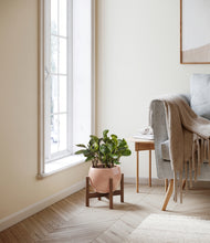 Load image into Gallery viewer, Calm Rose stand:walnut
