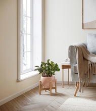 Load image into Gallery viewer, Calm Rose stand:bamboo

