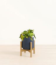 Load image into Gallery viewer, Deep Navy stand:bamboo
