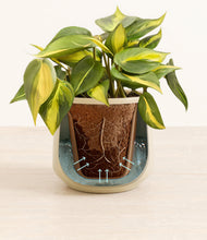 Load image into Gallery viewer, Almond Green stand:all
