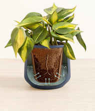 Load image into Gallery viewer, Deep Navy stand:all
