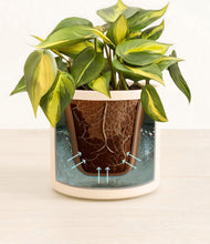 Load image into Gallery viewer, Cream stand:all
