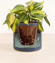 Load image into Gallery viewer, Deep Navy stand:all
