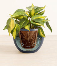 Load image into Gallery viewer, Deep Navy stand:all
