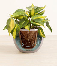 Load image into Gallery viewer, Winter Clouds stand:all
