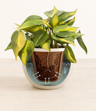 Load image into Gallery viewer, Shiny EggWhite stand:all
