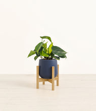 Load image into Gallery viewer, Deep Navy stand:bamboo
