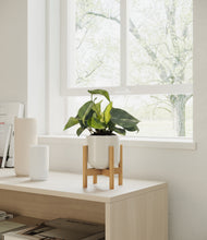 Load image into Gallery viewer, Cotton White stand:walnut
