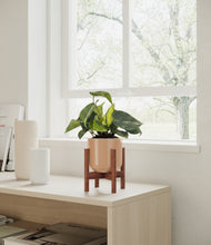 Load image into Gallery viewer, Glossy Pink stand:walnut
