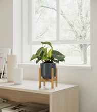 Load image into Gallery viewer, Iron Gray stand:bamboo
