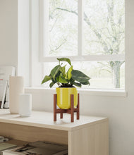 Load image into Gallery viewer, Key Lime Yellow stand:walnut

