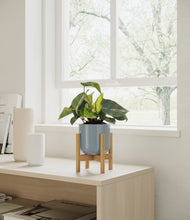 Load image into Gallery viewer, Misty Blue stand:bamboo

