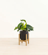 Load image into Gallery viewer, Stone Black stand:bamboo
