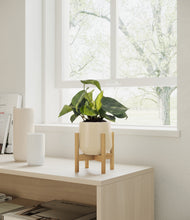Load image into Gallery viewer, Almond Green stand:bamboo
