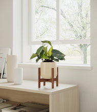 Load image into Gallery viewer, Almond Green stand:walnut
