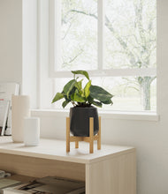 Load image into Gallery viewer, Black stand:bamboo
