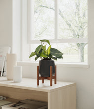 Load image into Gallery viewer, Black stand:walnut
