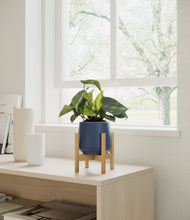 Load image into Gallery viewer, Deep Navy stand:bamboo
