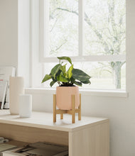 Load image into Gallery viewer, Gentle Pink stand:bamboo
