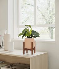 Load image into Gallery viewer, Gentle Pink stand:walnut
