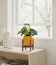Load image into Gallery viewer, Mustard stand:walnut
