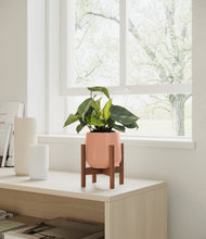 Load image into Gallery viewer, Calm Rose stand:walnut
