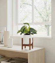 Load image into Gallery viewer, White stand:walnut
